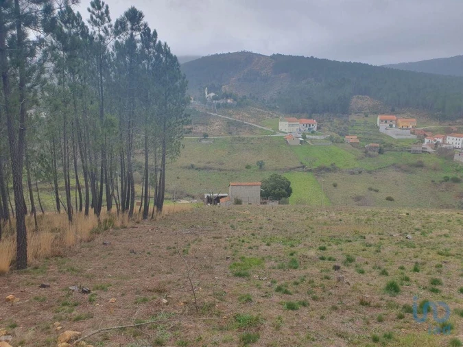 Terreno para Venda em Unhais-O-Velho Foto 7