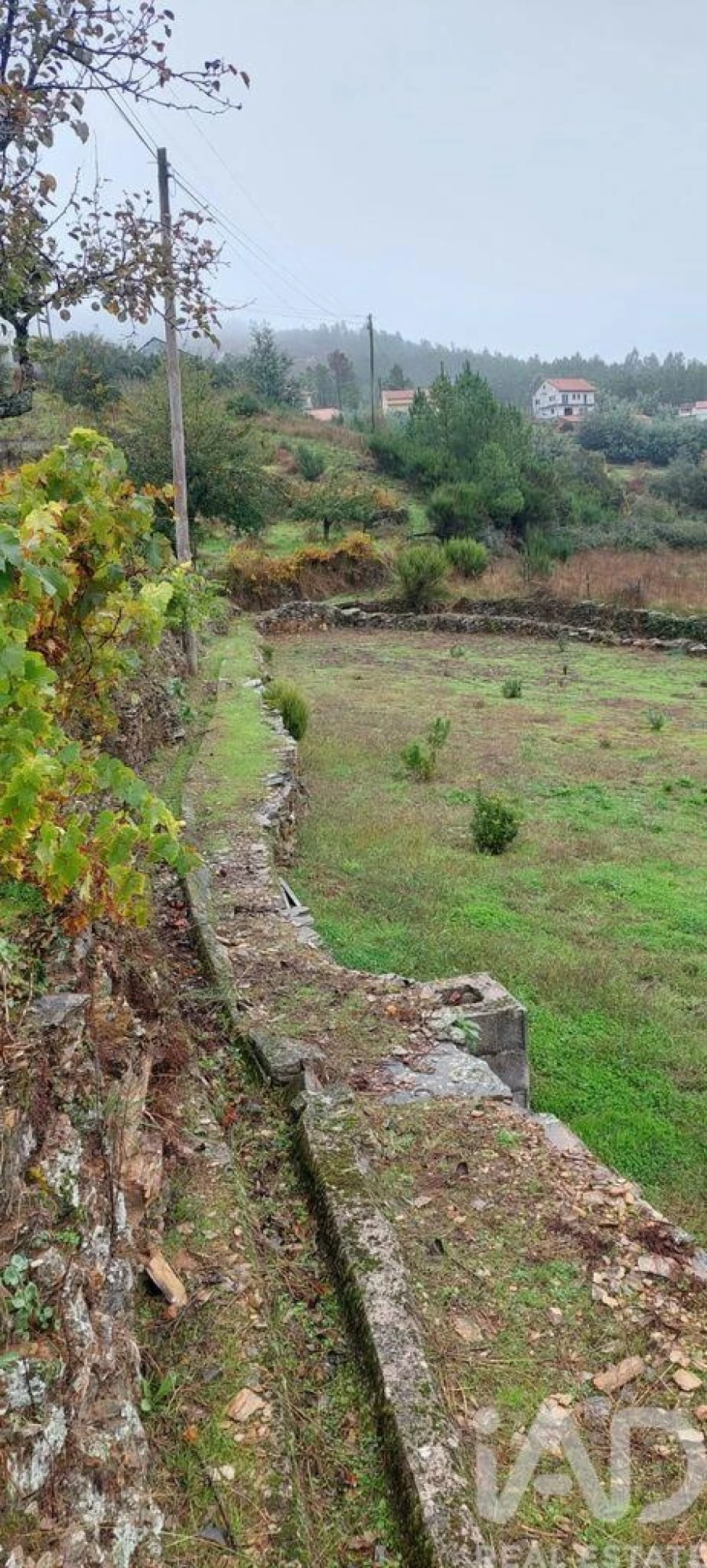 Terreno para Venda em Unhais-O-Velho Foto 19