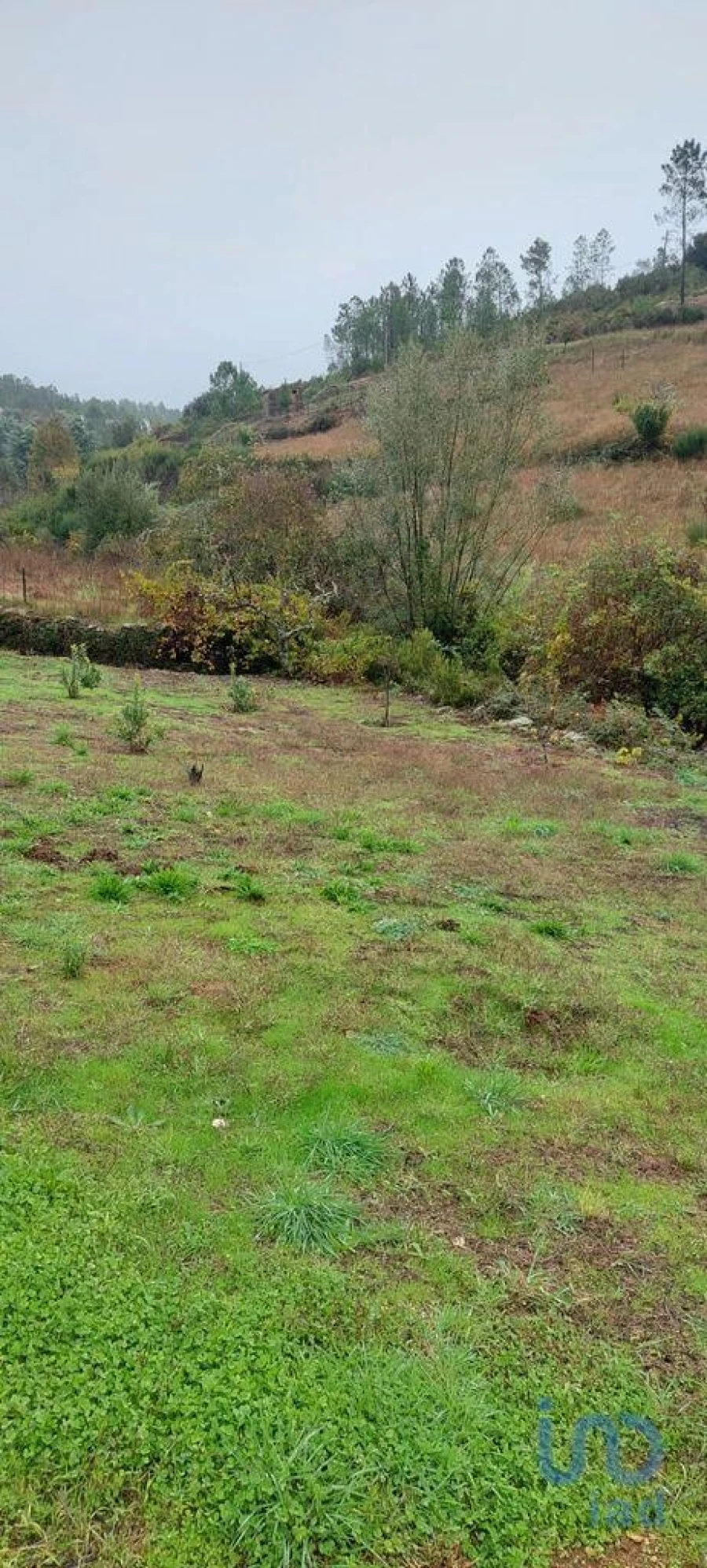 Terreno para Venda em Unhais-O-Velho Foto 12