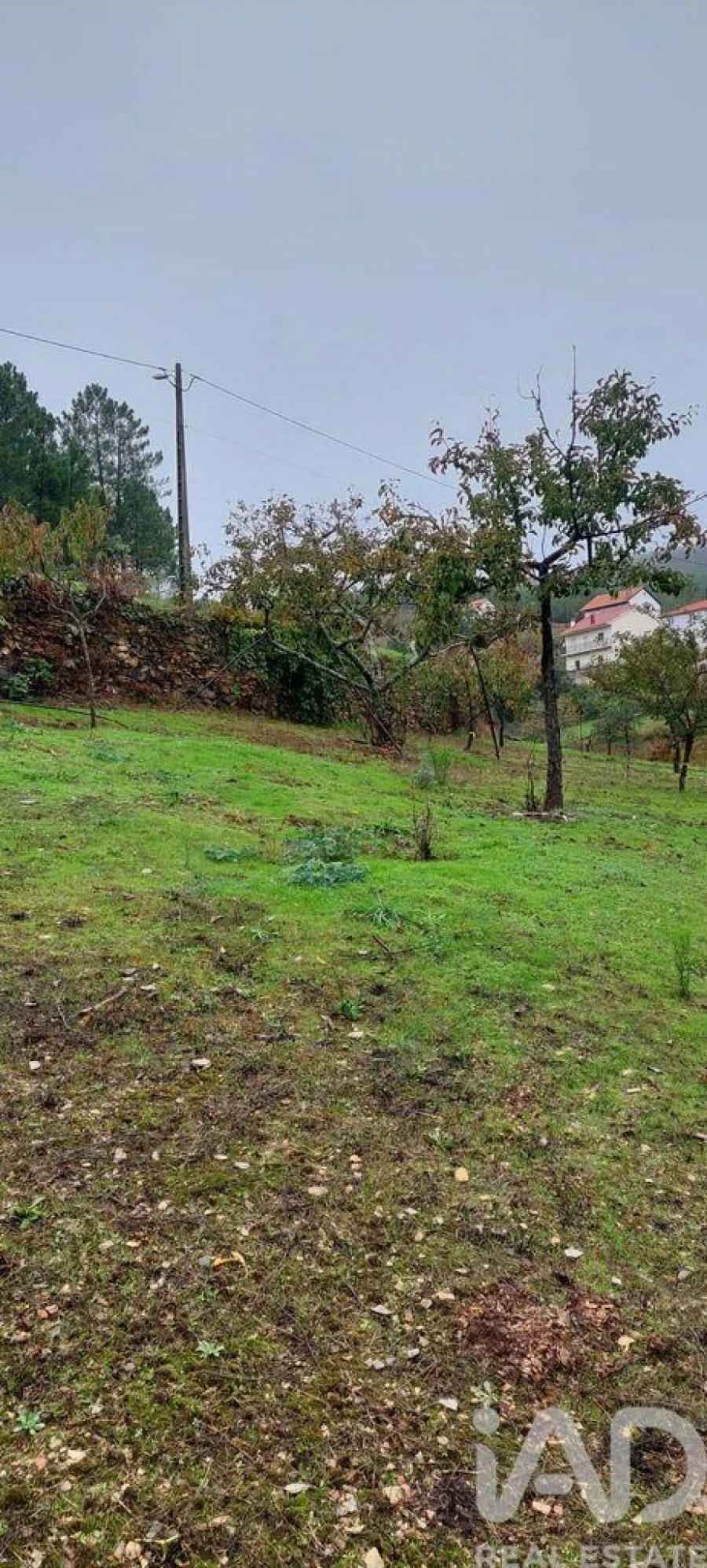 Terreno para Venda em Unhais-O-Velho Foto 24
