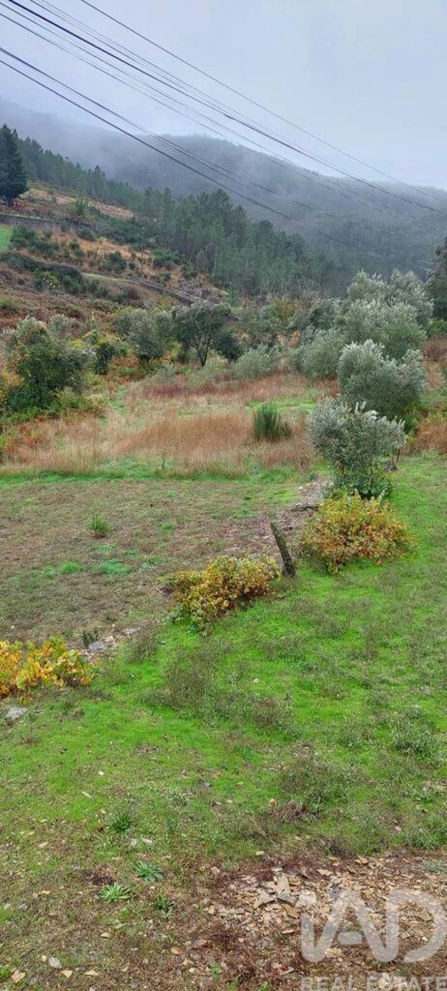 Terreno para Venda em Unhais-O-Velho Foto 23