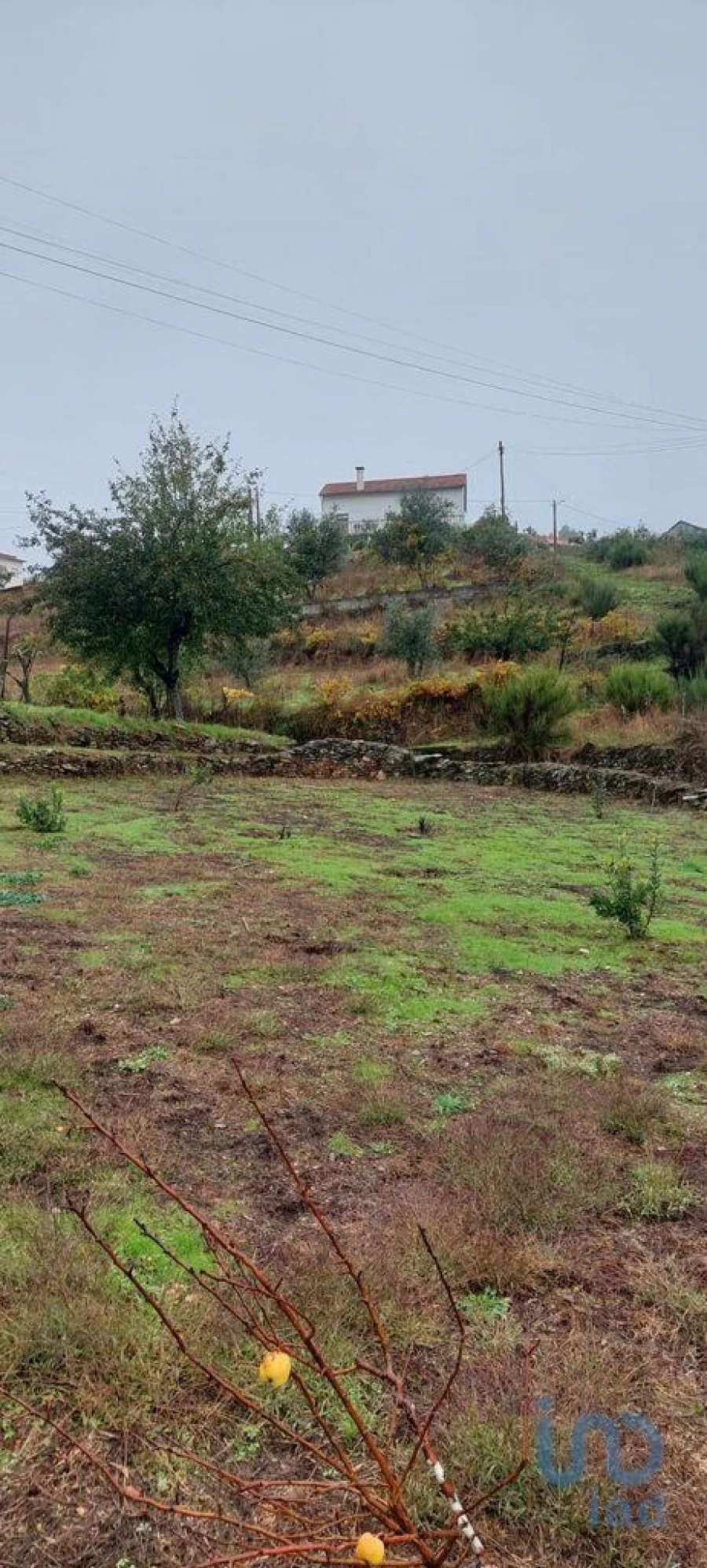 Terreno para Venda em Unhais-O-Velho Foto 15