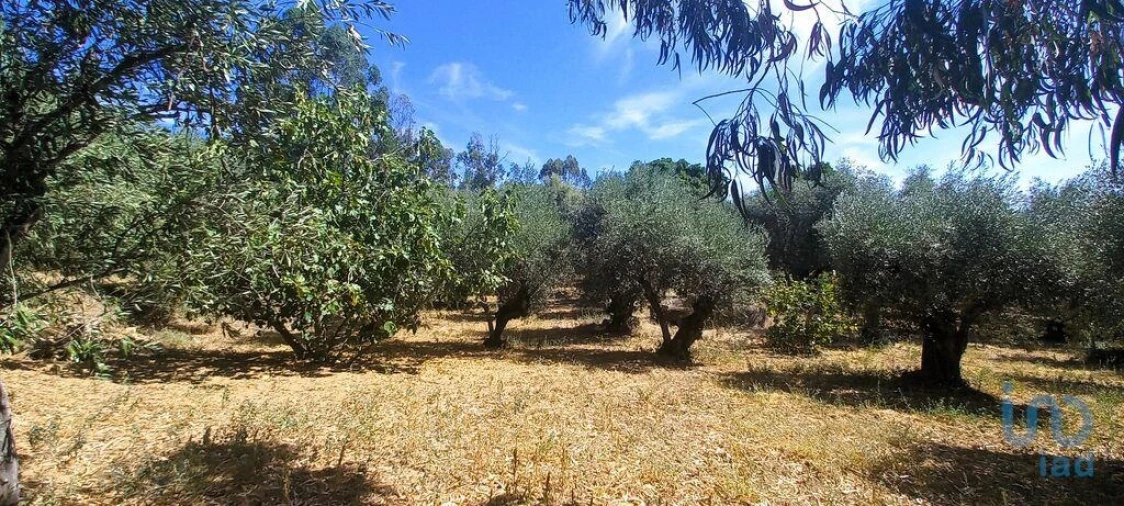 Moradia T7 para Venda em Proença-A-Velha Foto 9