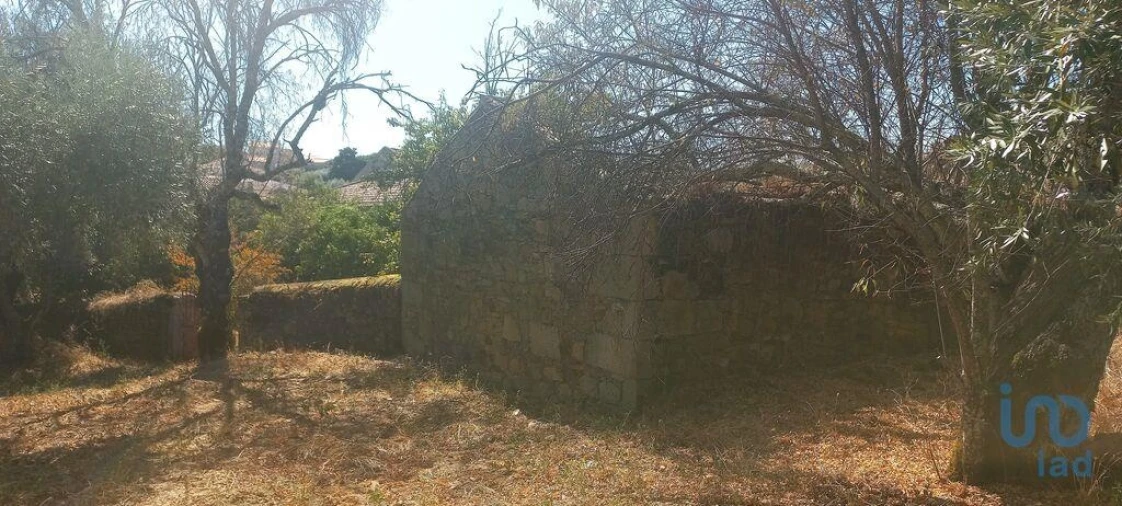 Moradia T7 para Venda em Proença-A-Velha Foto 8