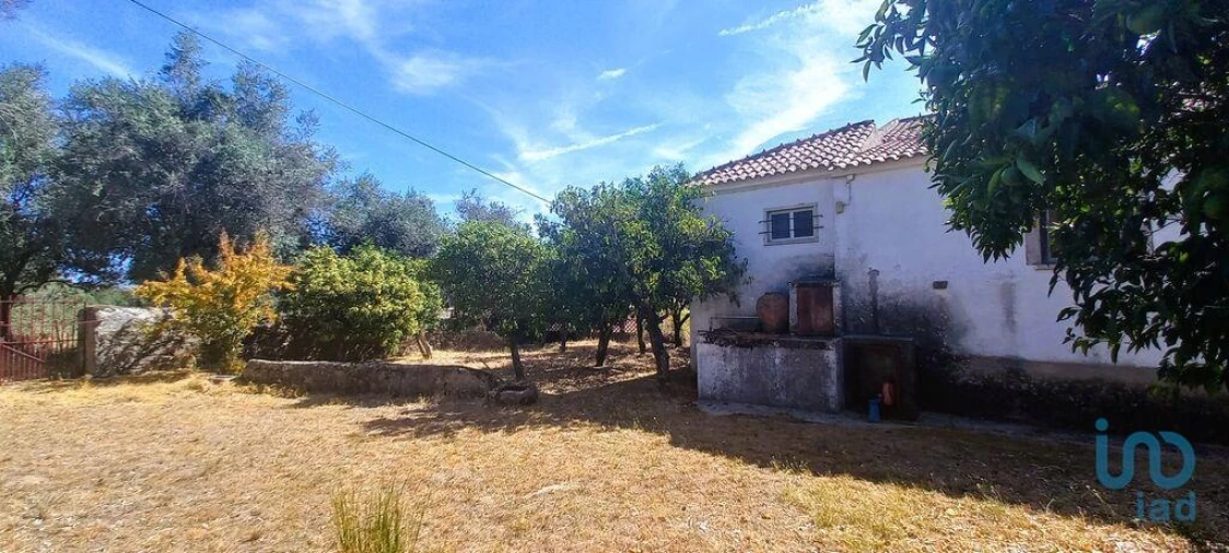 Moradia T7 para Venda em Proença-A-Velha Foto 6