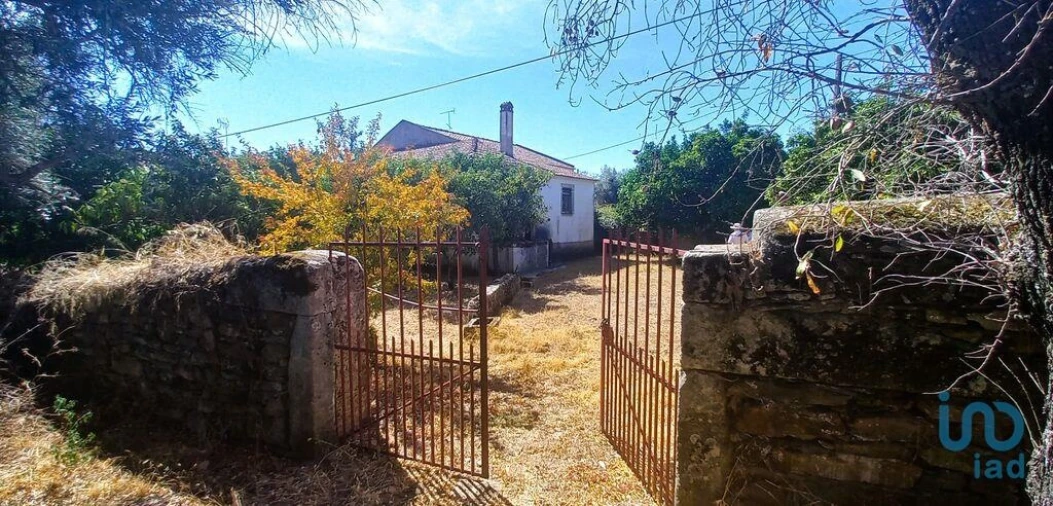 Moradia T7 para Venda em Proença-A-Velha Foto 7