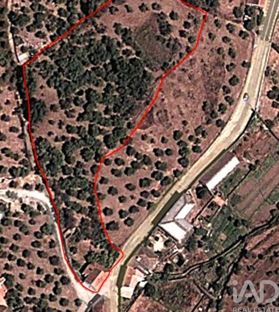 Moradia T7 para Venda em Proença-A-Velha Foto 23