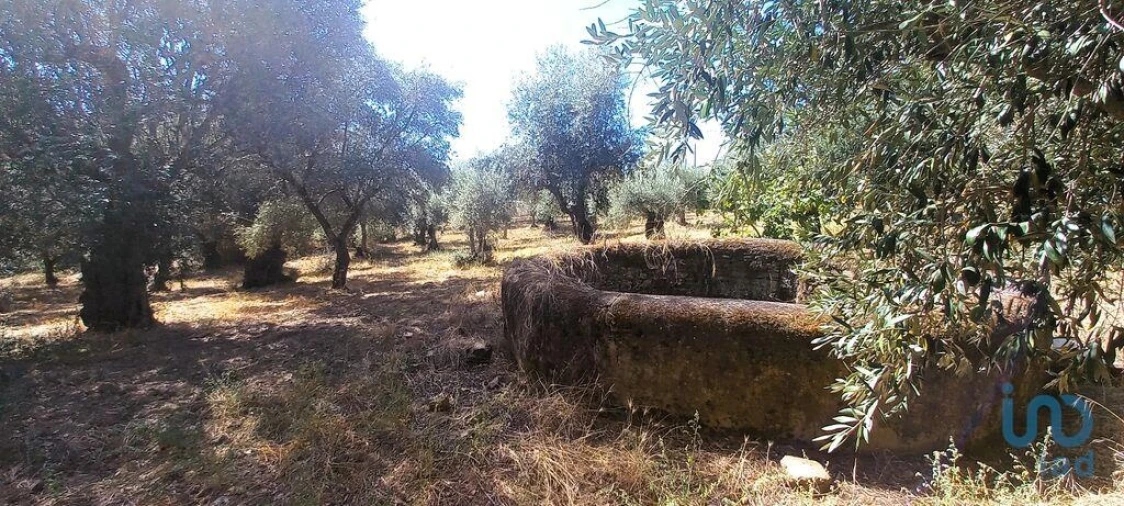 Moradia T7 para Venda em Proença-A-Velha Foto 11