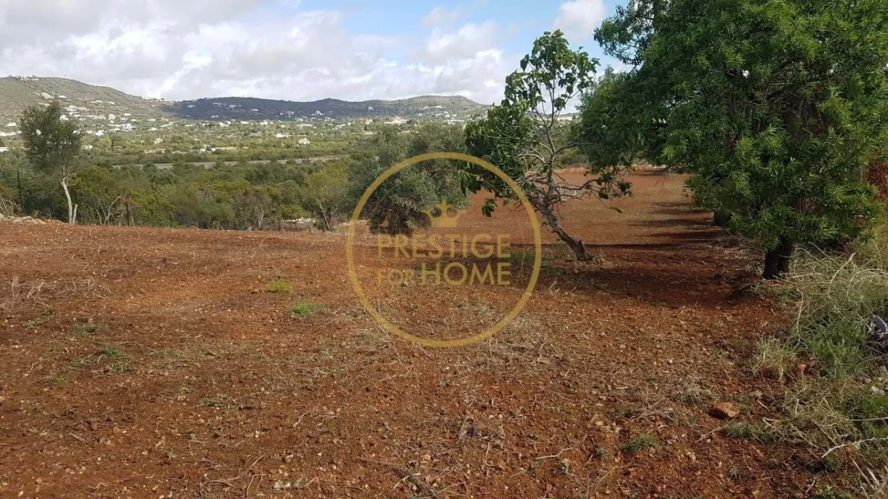 Terreno para Venda em Santa Barbara de Nexe Foto 5