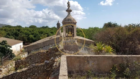 Terreno para Venda em Santa Barbara de Nexe