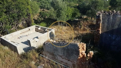 Terreno para Venda em Santa Barbara de Nexe
