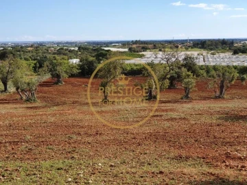 Terreno para Venda em Santa Barbara de Nexe