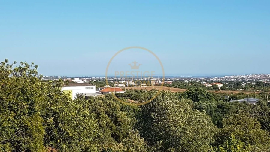 Terreno para Venda em Santa Barbara de Nexe Foto 10