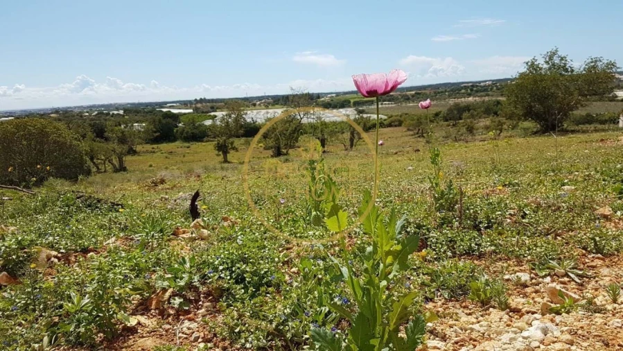 Terreno para Venda em Santa Barbara de Nexe Foto 7