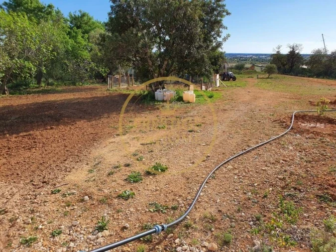 Terreno para Venda em Santa Barbara de Nexe Foto 9