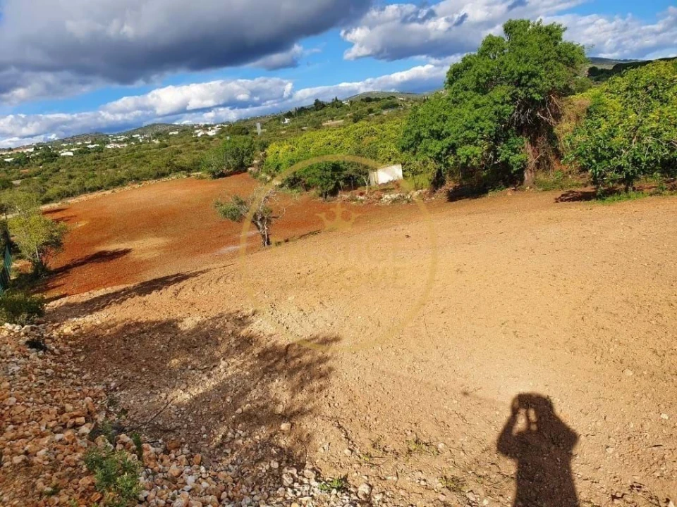 Terreno para Venda em Santa Barbara de Nexe Foto 6