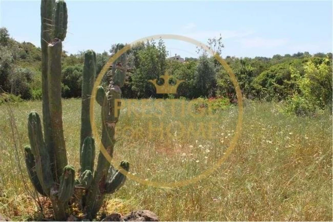 Terreno para Venda em Boliqueime Foto 4
