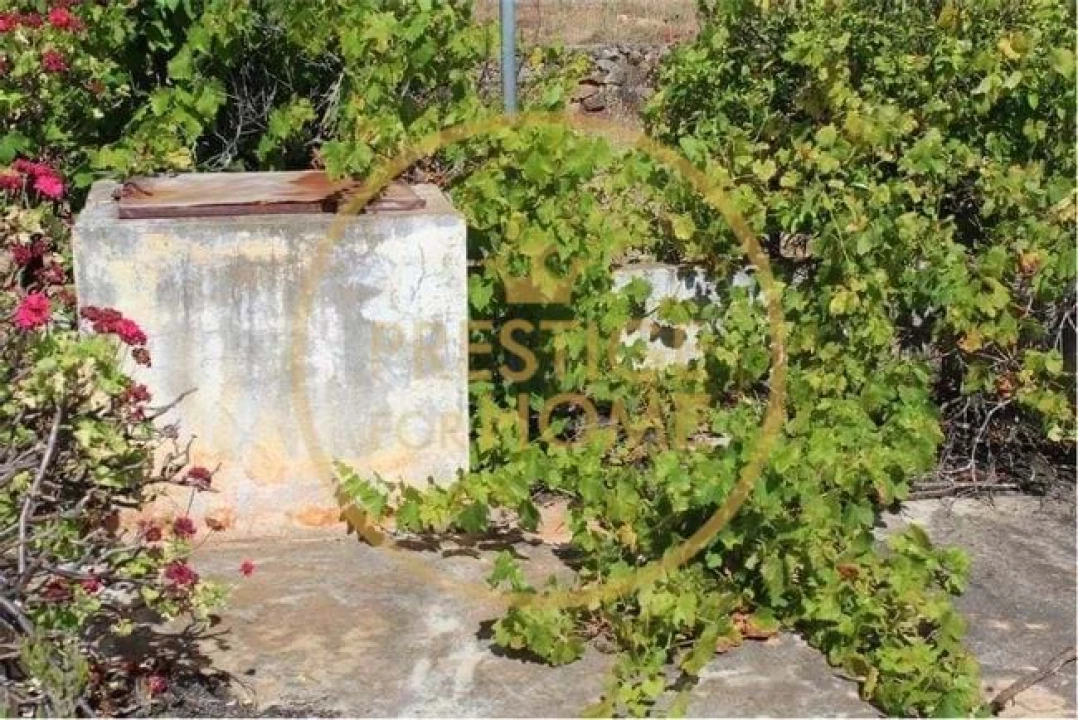 Terreno para Venda em Boliqueime Foto 6