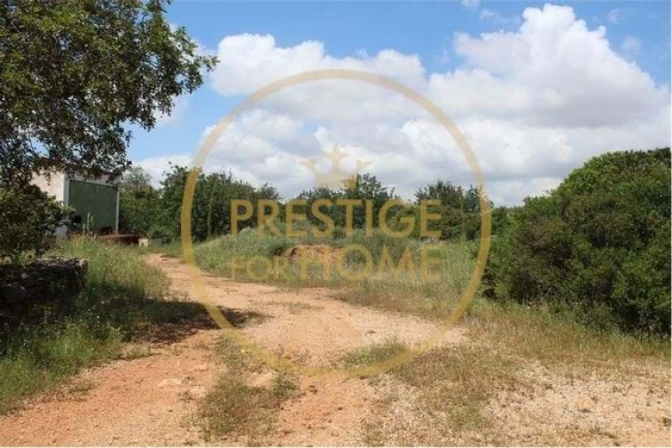 Terreno para Venda em Boliqueime Foto 5