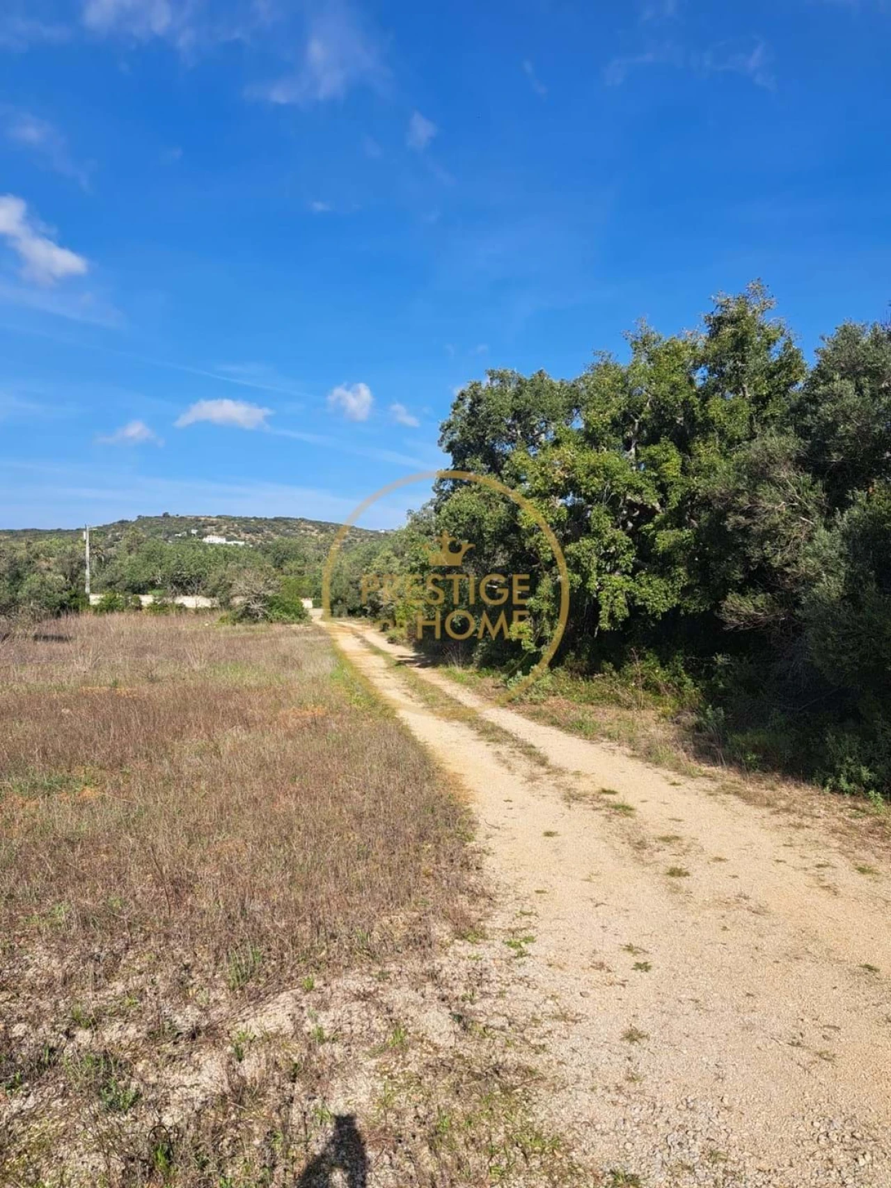 Armazém para Venda em Santa Barbara de Nexe Foto 10