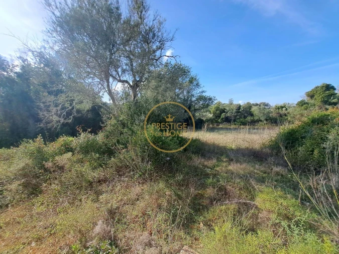 Armazém para Venda em Santa Barbara de Nexe Foto 11