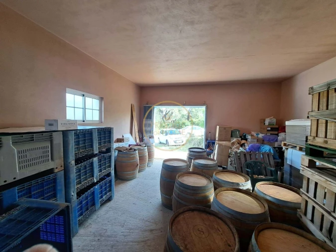 Armazém para Venda em Santa Barbara de Nexe Foto 3