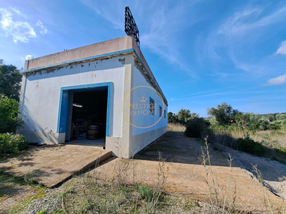 Armazém para Venda em Santa Barbara de Nexe Foto 1