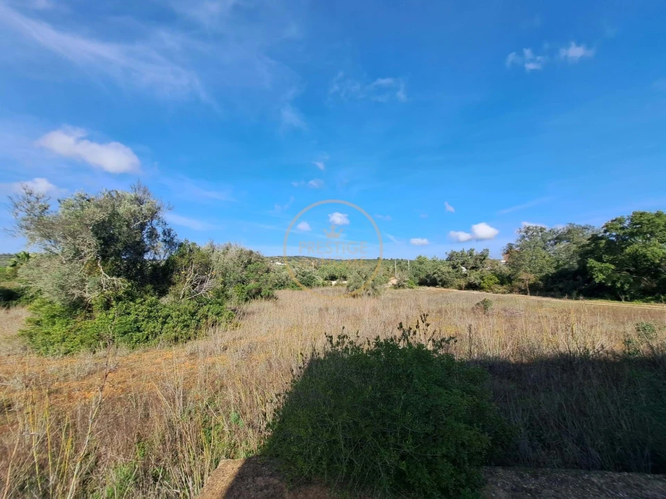 Armazém para Venda em Santa Barbara de Nexe Foto 15