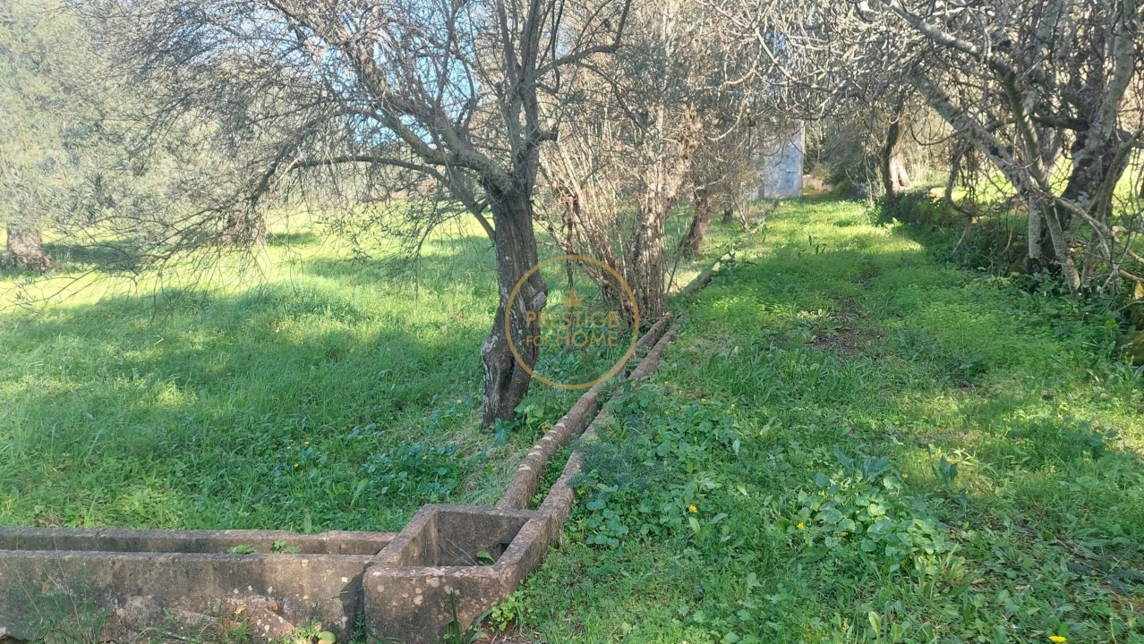Terreno para Venda em Loule (São Sebastião) Foto 16