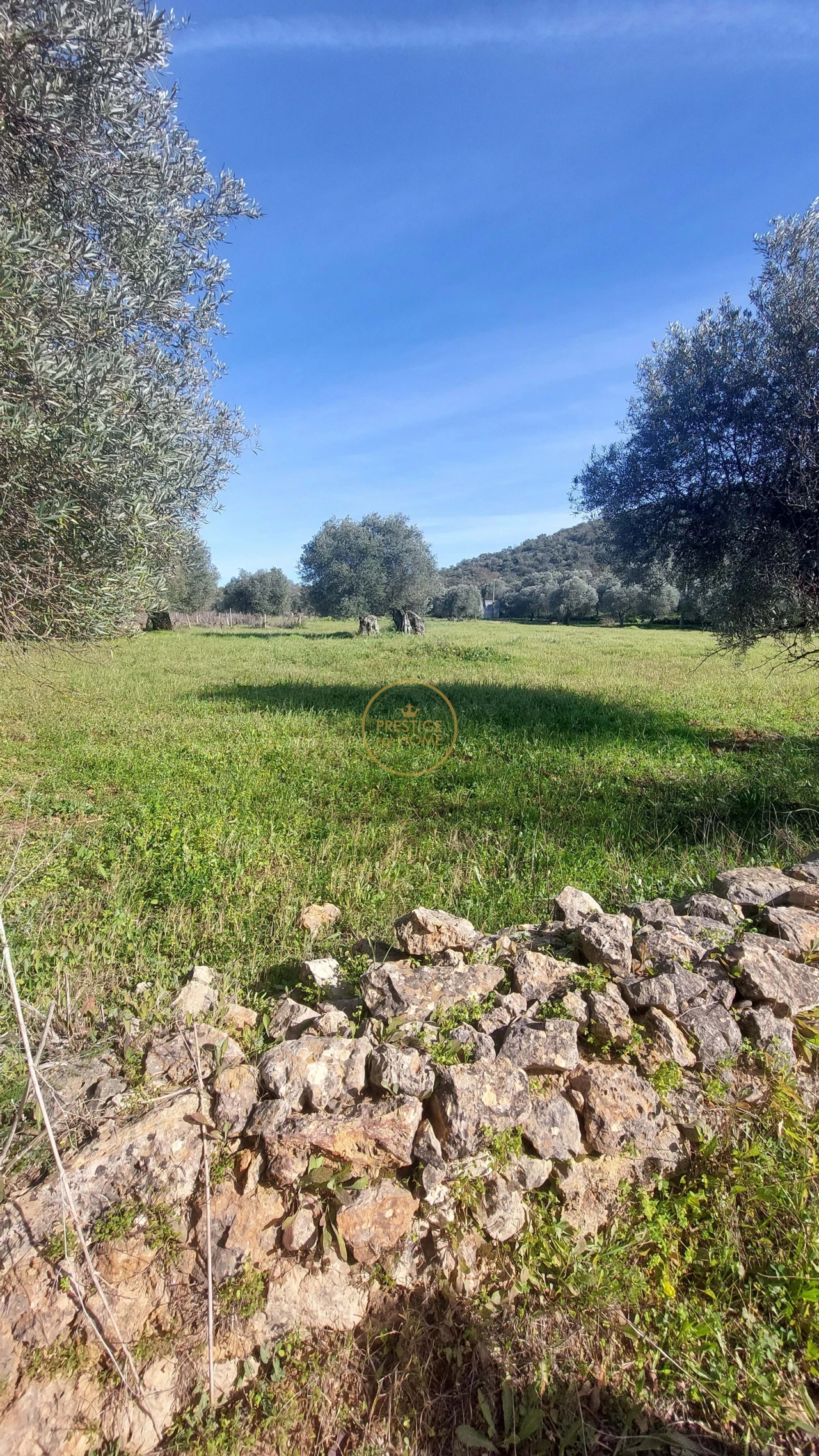 Terreno para Venda em Loule (São Sebastião) Foto 39