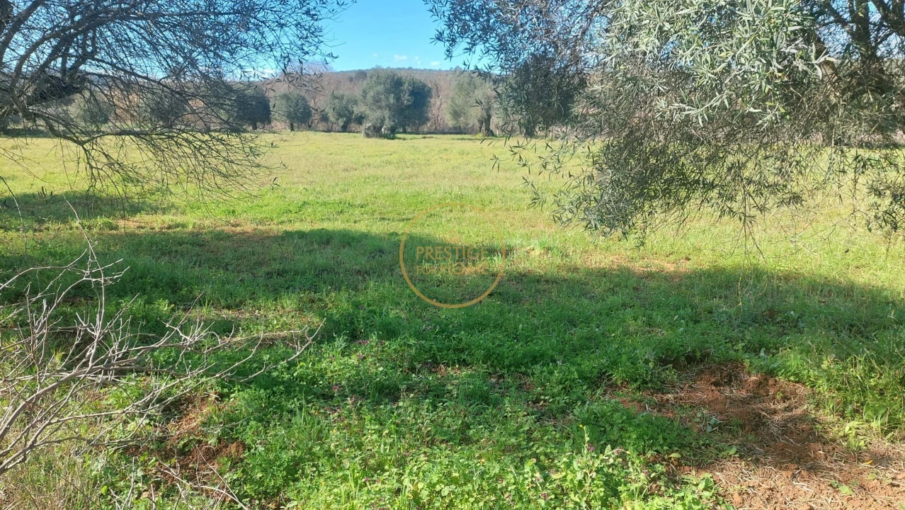 Terreno para Venda em Loule (São Sebastião) Foto 14