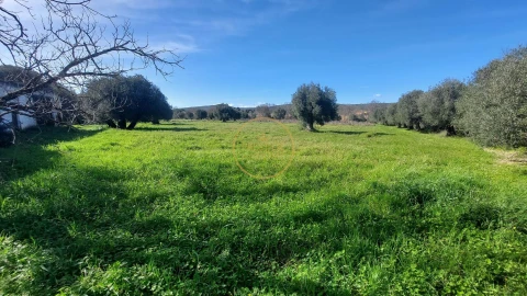 Terreno para Venda em Loule (São Sebastião)