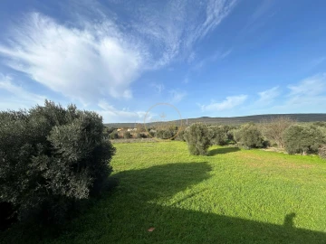 Terreno para Venda em Loule (São Sebastião)