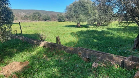 Terreno para Venda em Loule (São Sebastião)