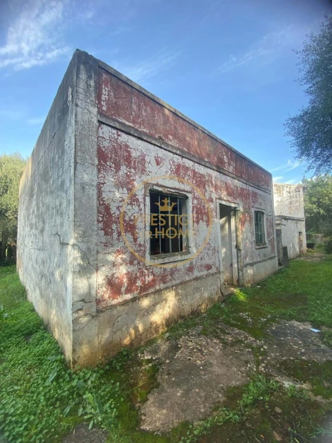 Terreno para Venda em Loule (São Sebastião)