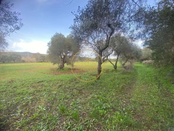 Terreno para Venda em Loule (São Sebastião)