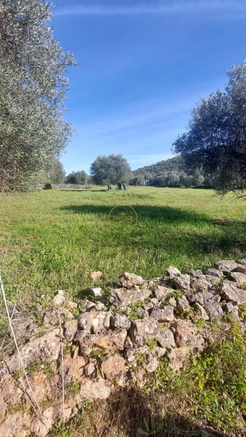 Terreno para Venda em Loule (São Sebastião)
