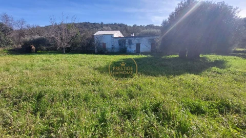 Terreno para Venda em Loule (São Sebastião)