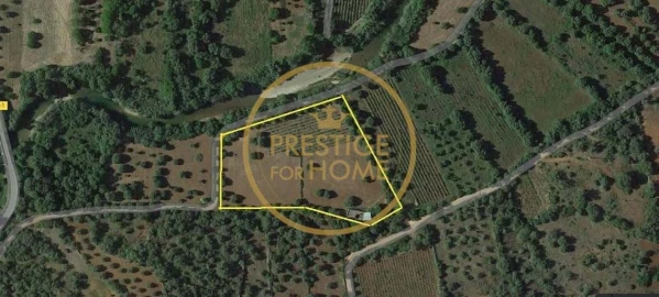 Terreno para Venda em Loule (São Sebastião)