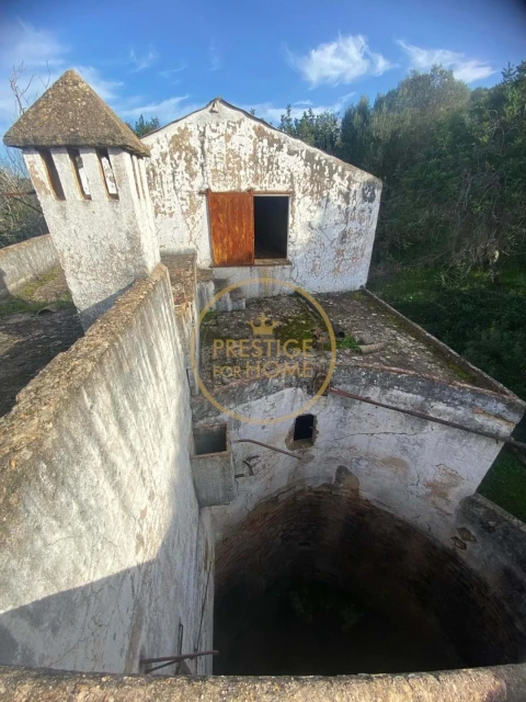 Terreno para Venda em Loule (São Sebastião)