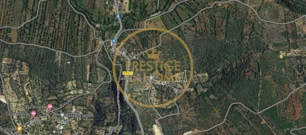 Terreno para Venda em Loule (São Sebastião)