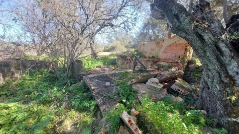 Terreno para Venda em Loule (São Sebastião)