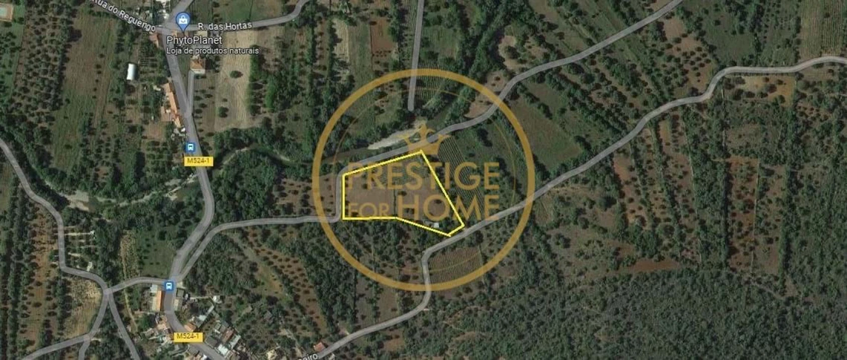 Terreno para Venda em Loule (São Sebastião) Foto 40