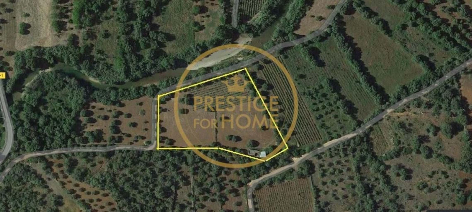 Terreno para Venda em Loule (São Sebastião) Foto 5