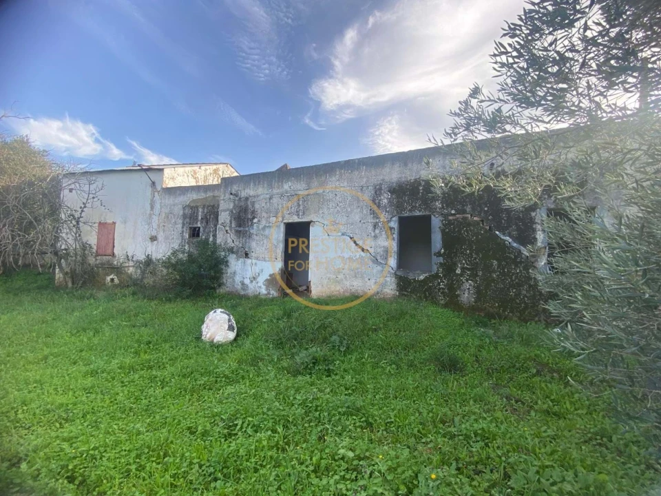 Terreno para Venda em Loule (São Sebastião) Foto 2