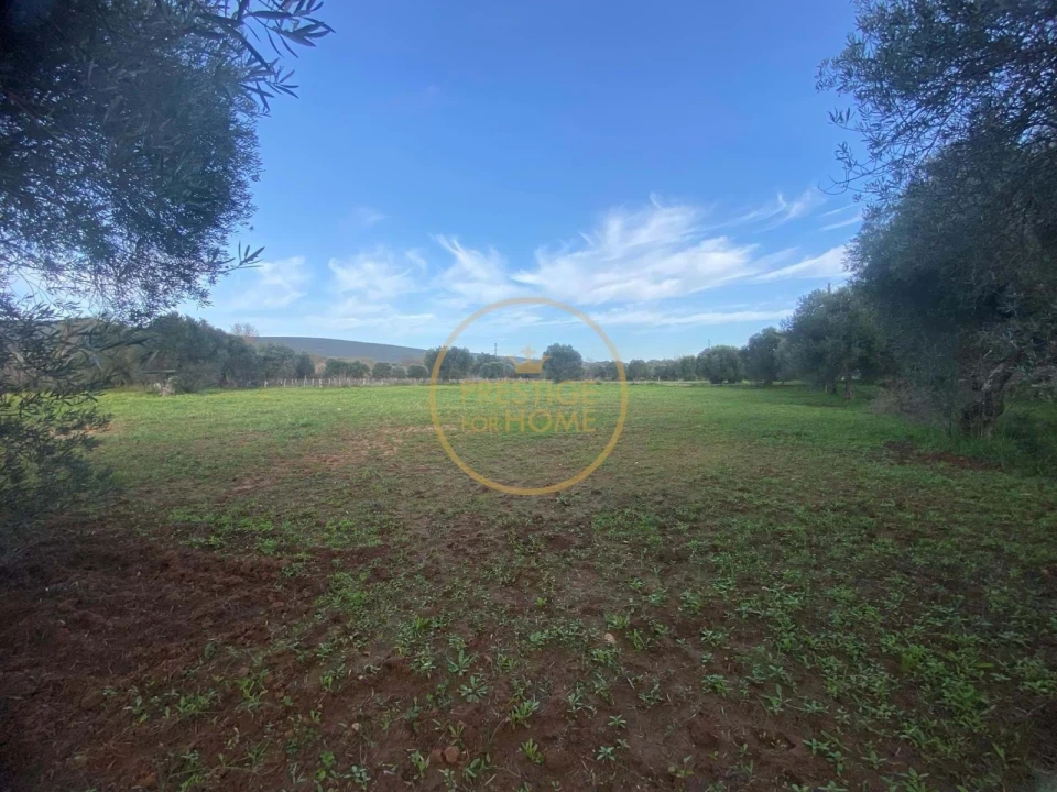 Terreno para Venda em Loule (São Sebastião) Foto 4