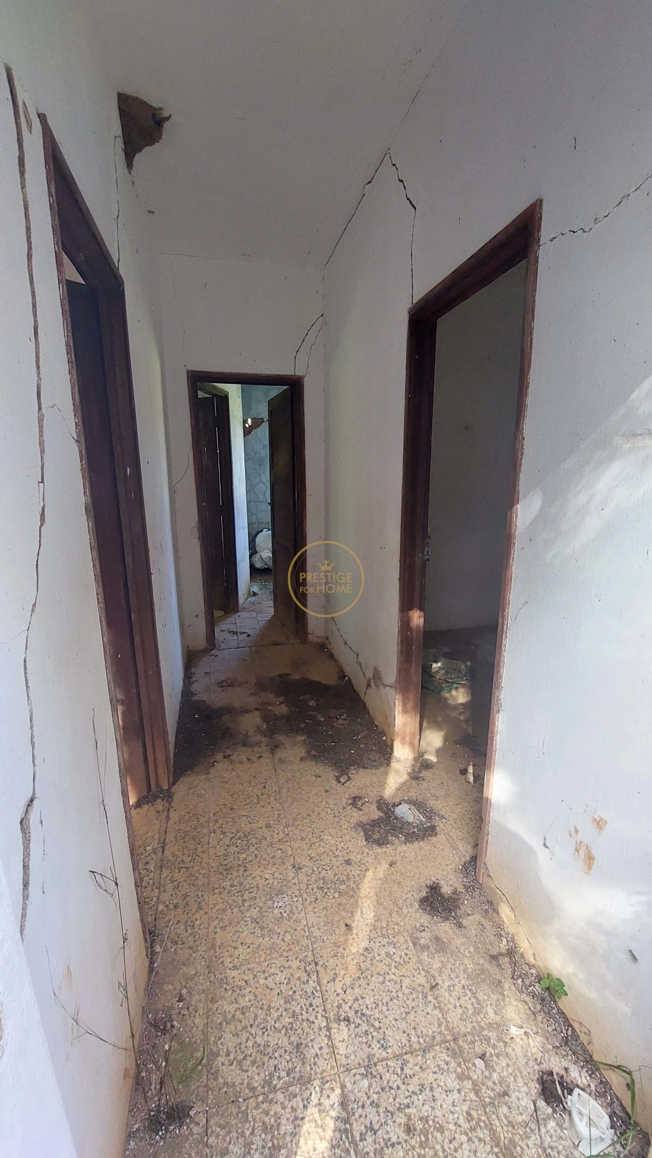 Terreno para Venda em Loule (São Sebastião) Foto 21