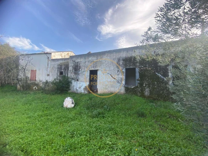 Terreno para Venda em Loule (São Sebastião) Foto 2