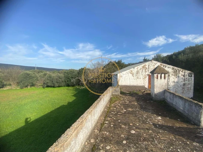 Terreno para Venda em Loule (São Sebastião) Foto 25