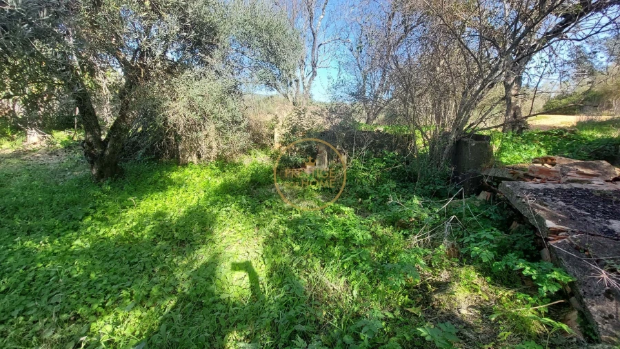Terreno para Venda em Loule (São Sebastião) Foto 37